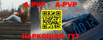 СК Новокубанск