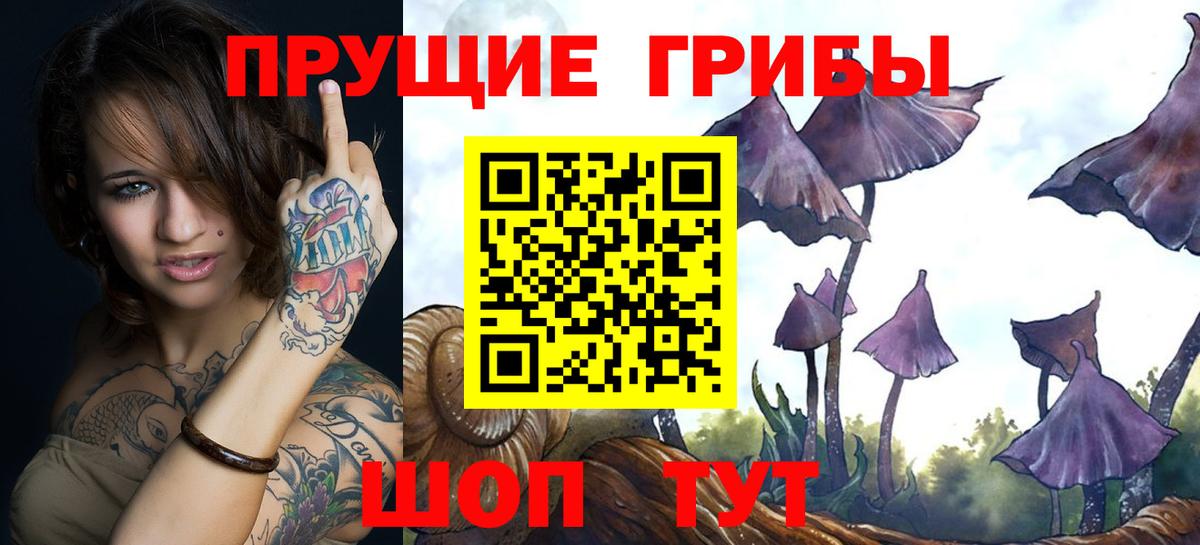 Галлюциногенные грибы Magic Shrooms Сочи