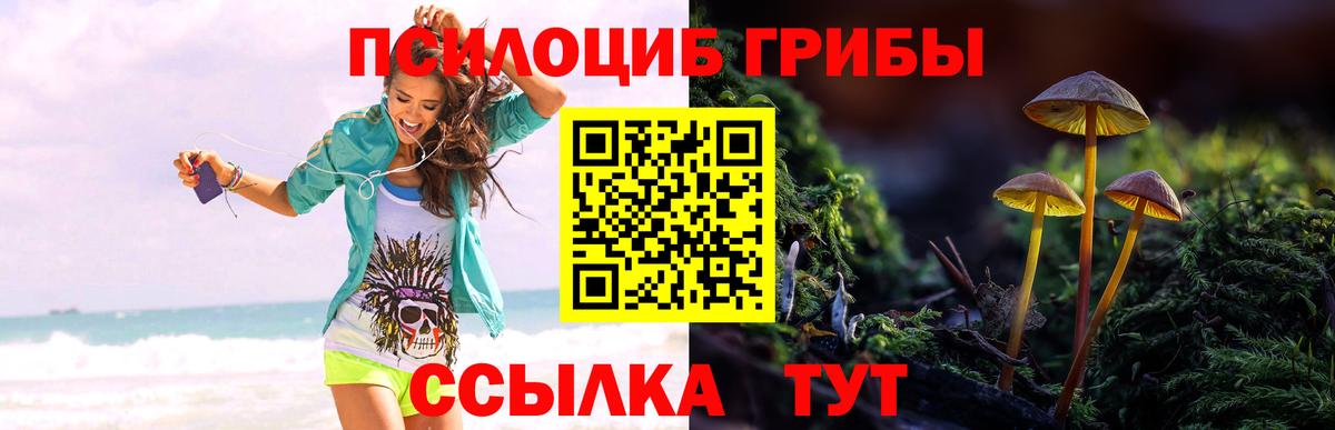 Галлюциногенные грибы Psilocybine cubensis  Вход с VPN  Сочи 